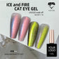NAKISHA Ice and Fire Cat Eye gel